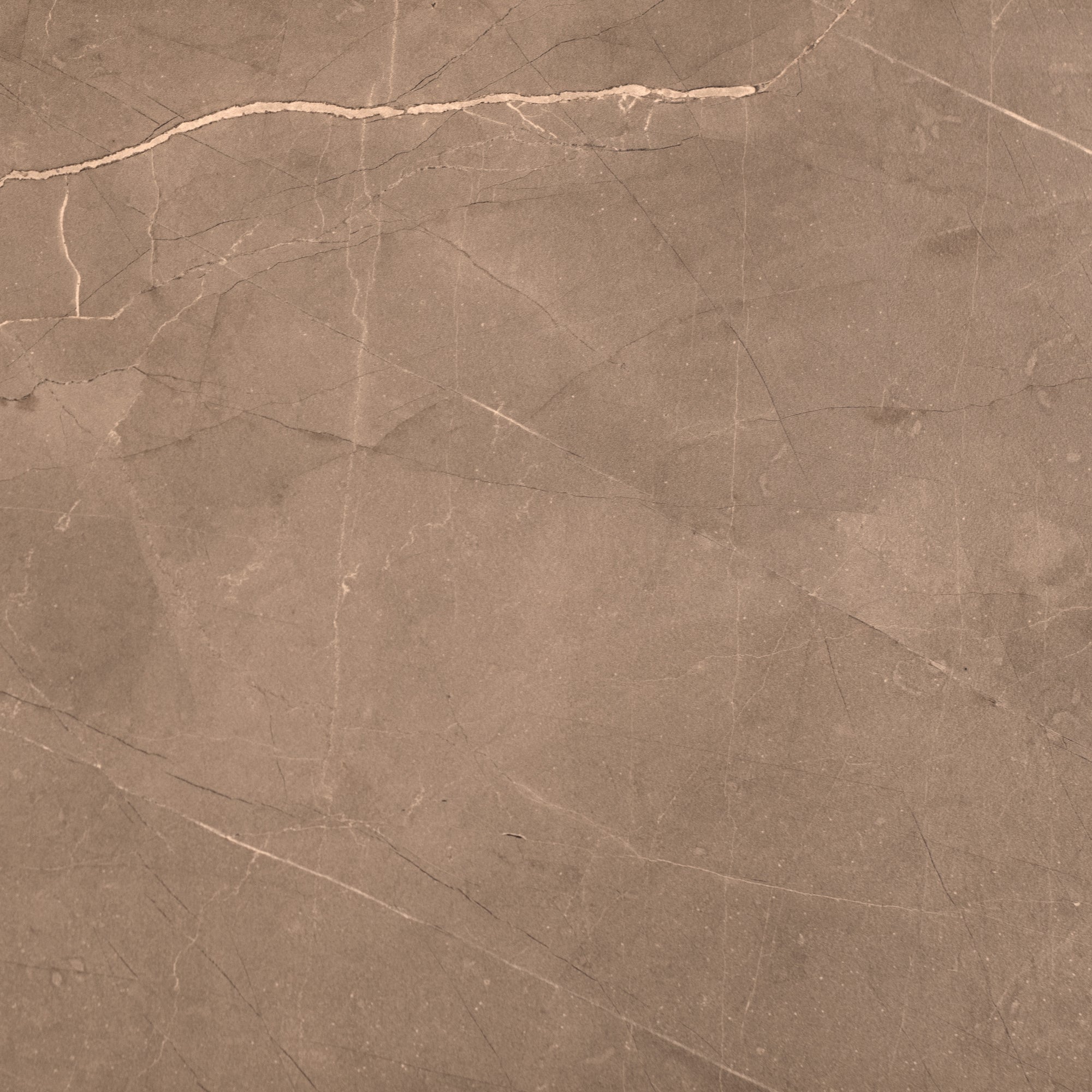 Palatial - Architessa