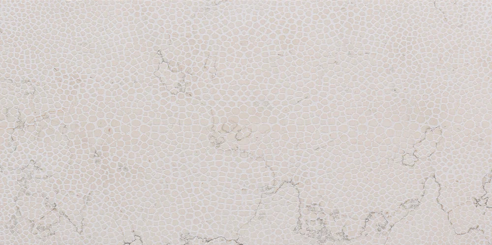 Stingray - Architessa