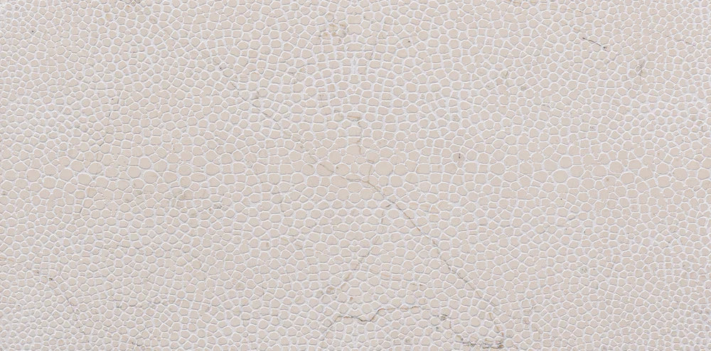 Stingray - Architessa