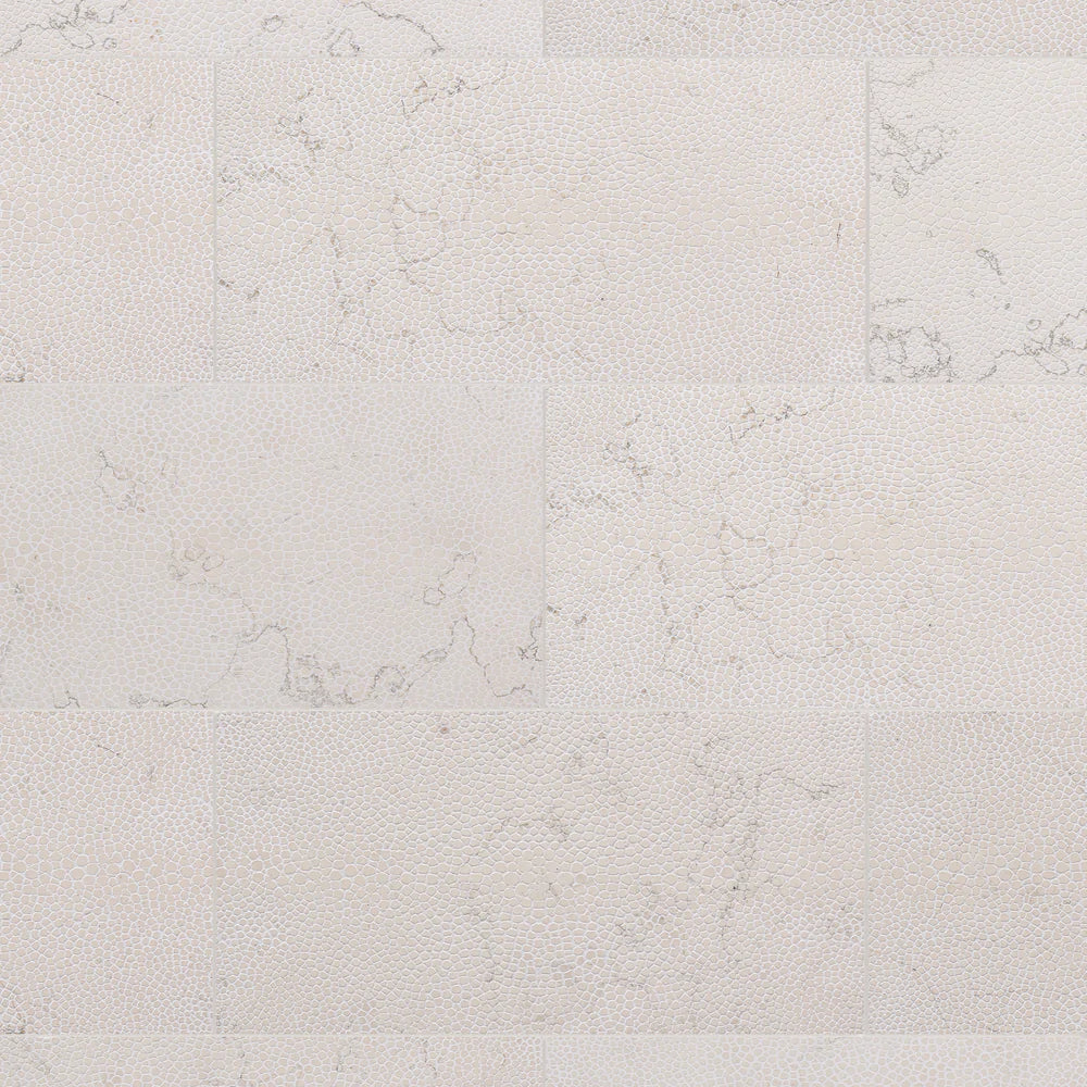 Stingray - Architessa