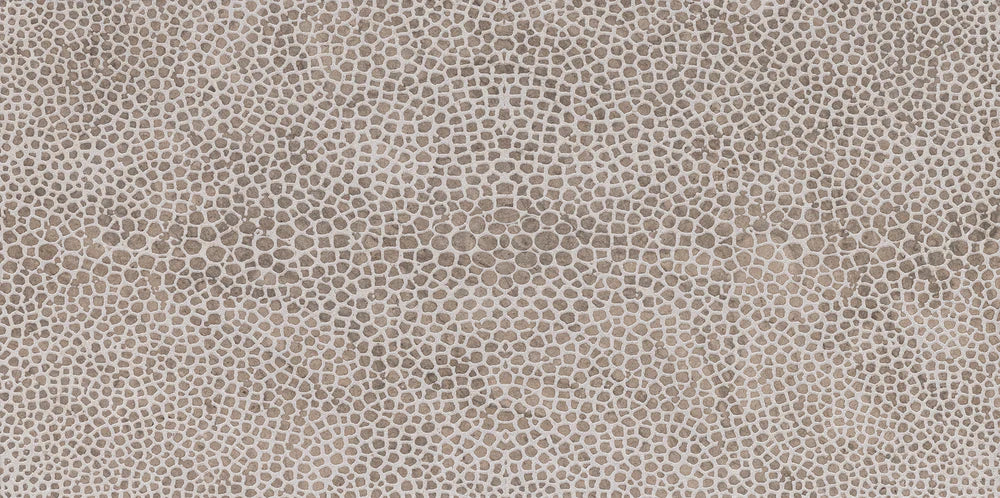 Stingray - Architessa