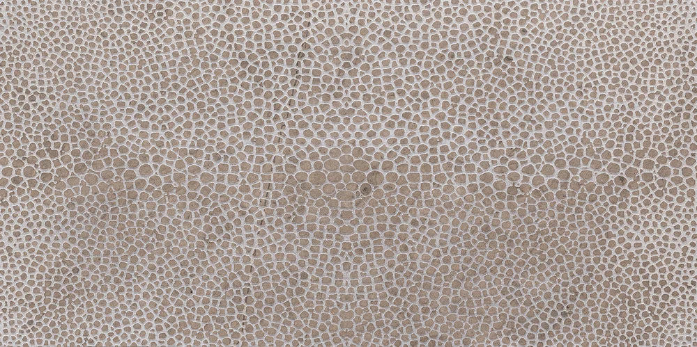 Stingray - Architessa