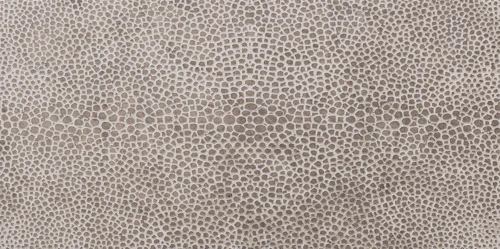 Stingray - Architessa