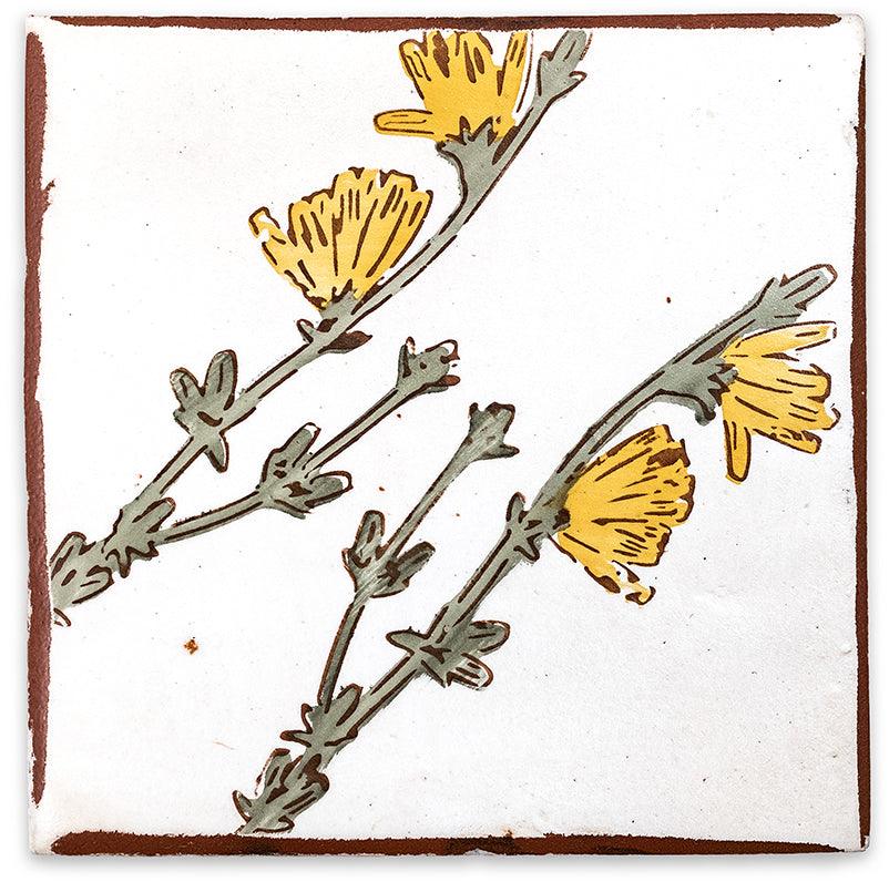 Lauren Liess Habitat - Terra - Architessa