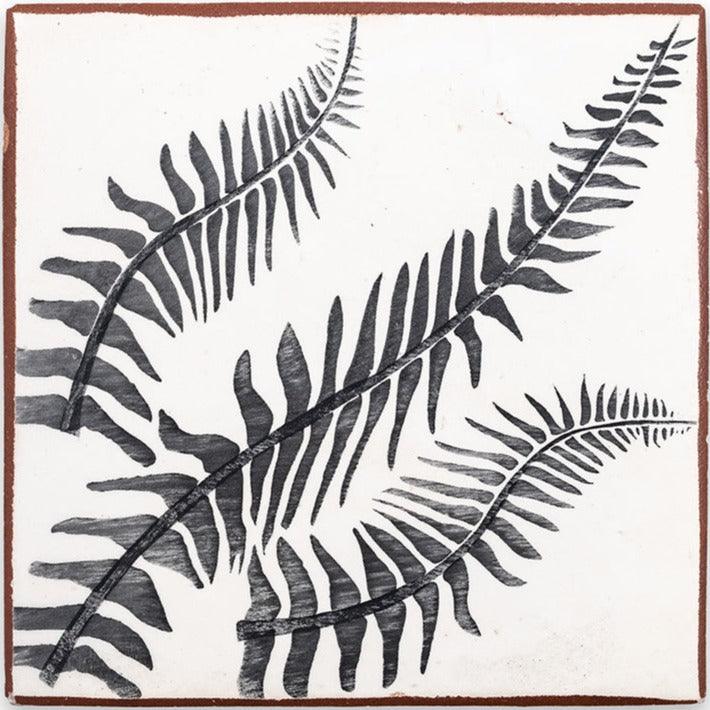 Lauren Liess Habitat - Terra - Architessa